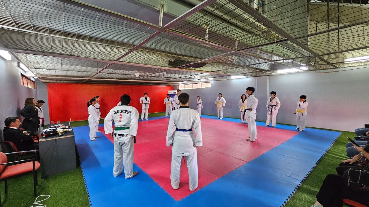 Imagen 7 de galería