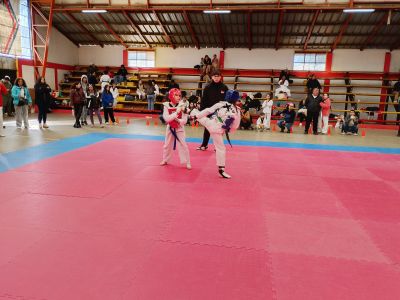 Primer Encuentro de Combates Kim's Ñuble 2026 - Imagen 2